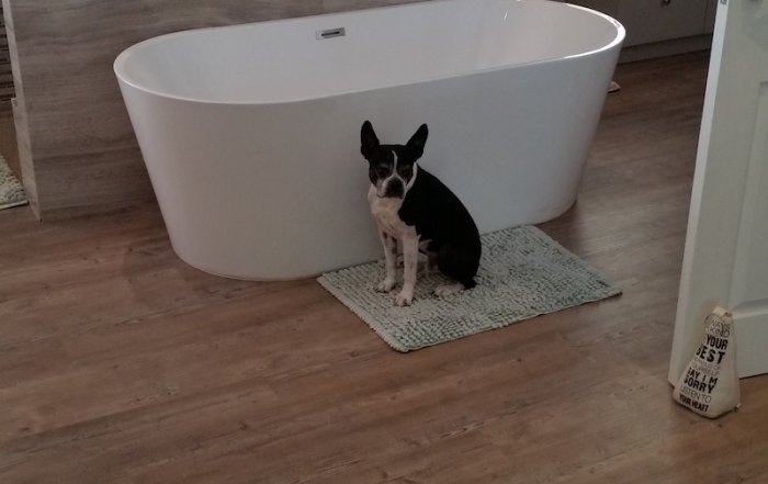 TLC Flooring - House Lumb- Mflor Greyfriars Vinyl flooring (4)